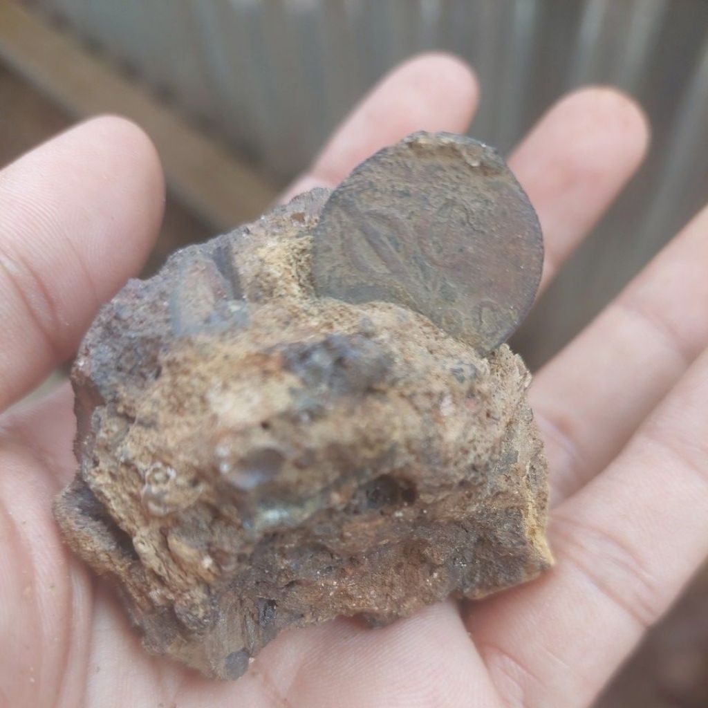 koim voc tahun 1790 rare dalam sedimen batu