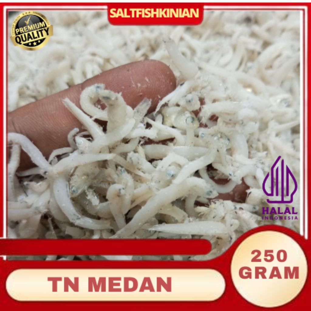 ikan teri Medan segar 250Gram/ikan asin/ikan teri asin Medan