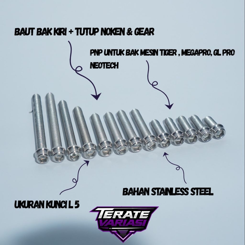 Baut Stainless bak mesin kanan kiri TIGER, MP, GL PRO NEOTECH custom bubut
