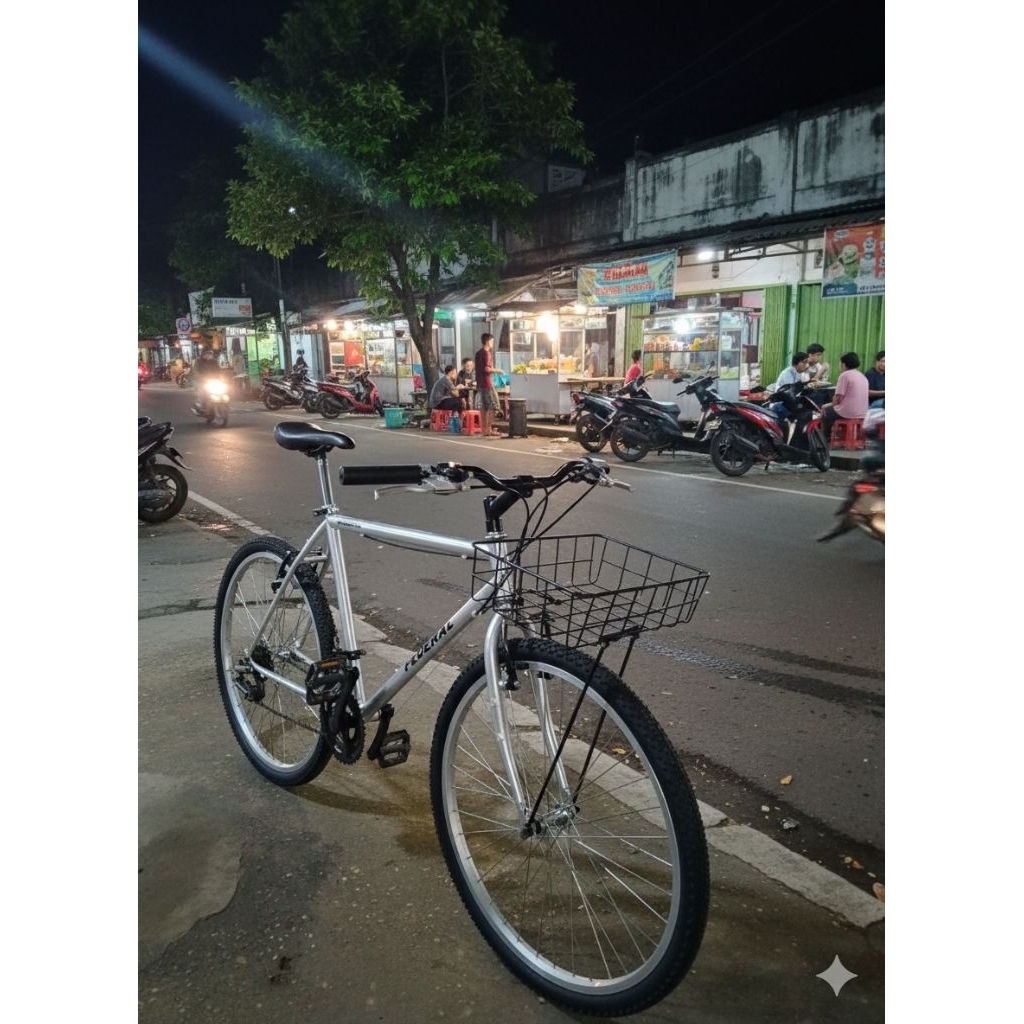 sepeda/commuter bike