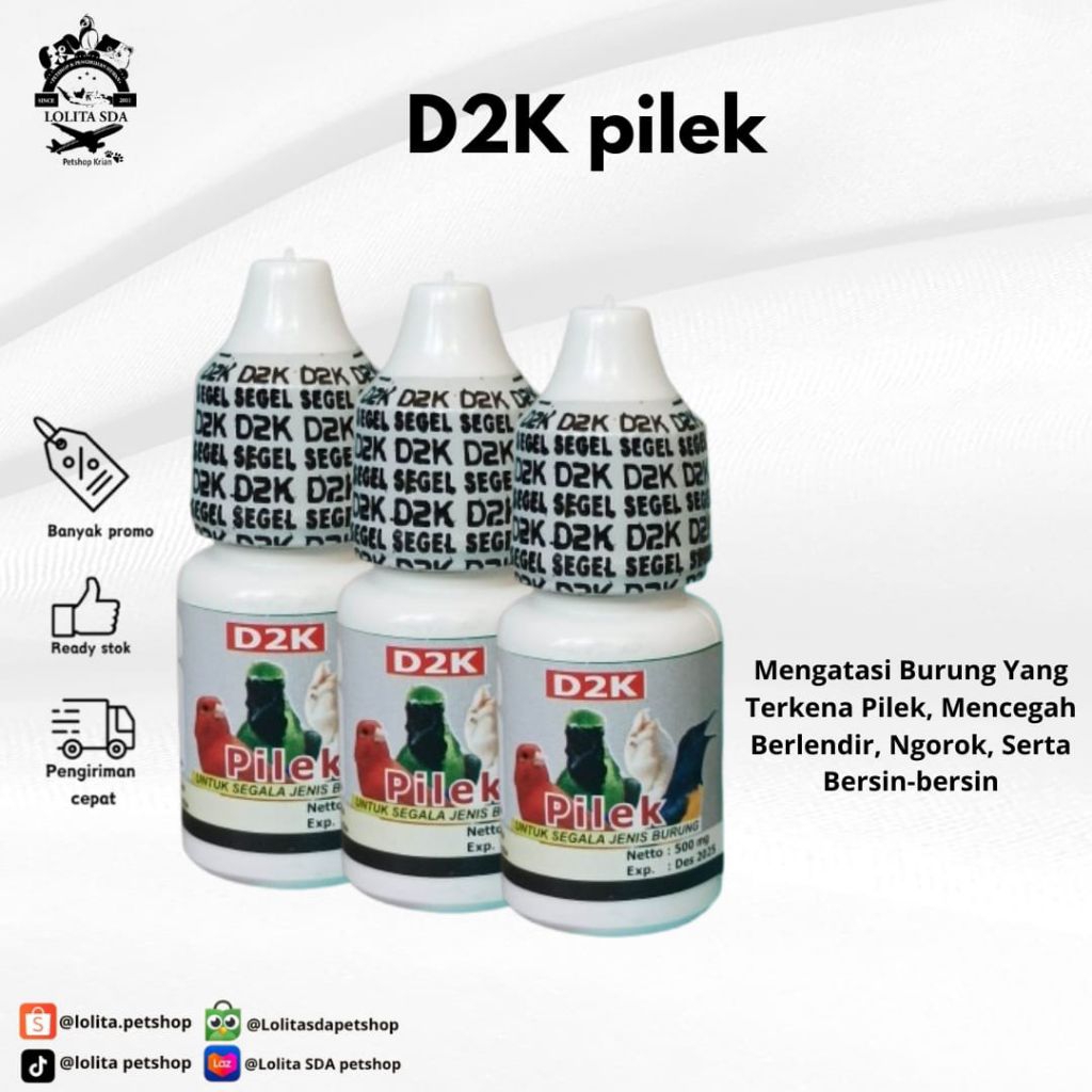 d2k pilek bersin bersin untuk semua jenis burung