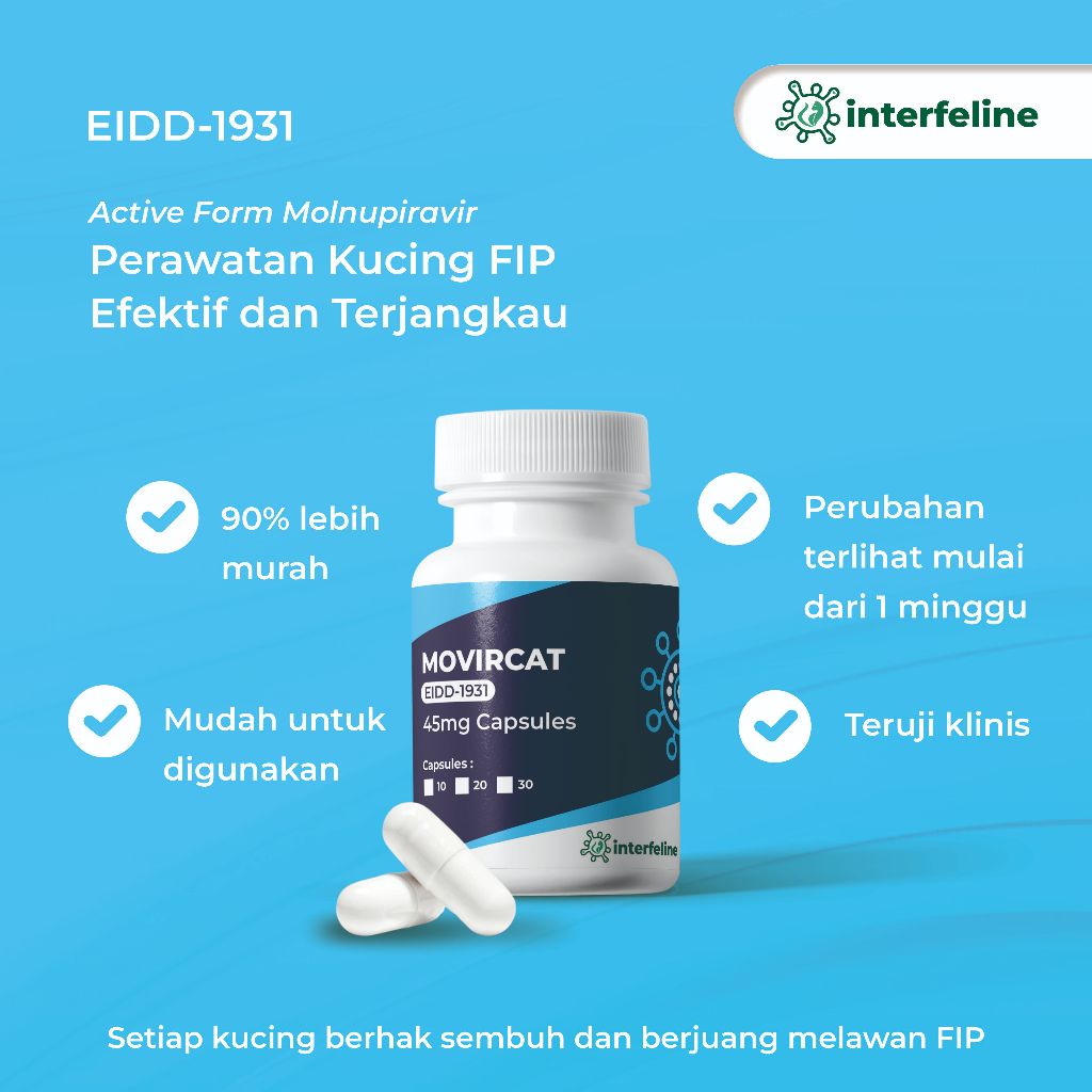 Movircat - Obat FIP Kucing - EIDD 1931 untuk Kucing