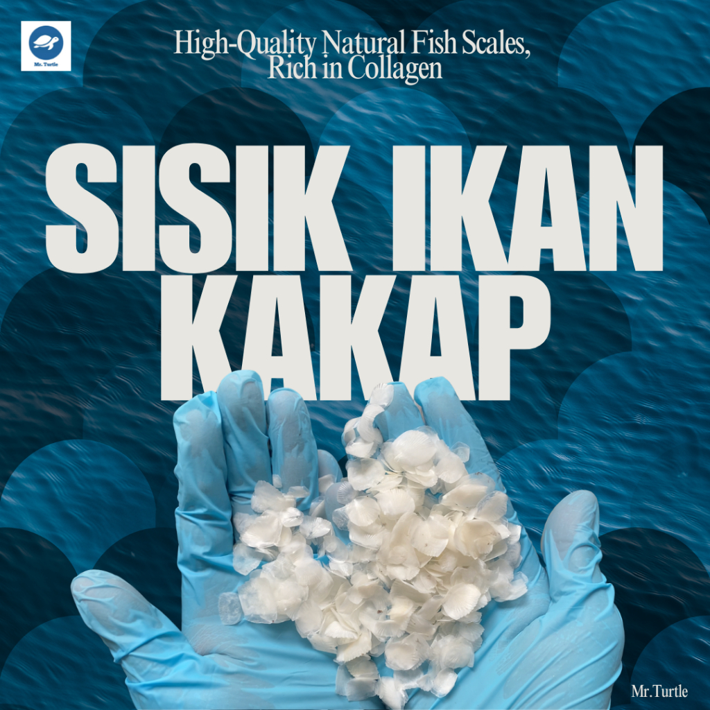 Marine Collagen | Sisik Ikan Kakap Merah Kering 100gr | Natural Fish Scales – Rahasia Awet Muda