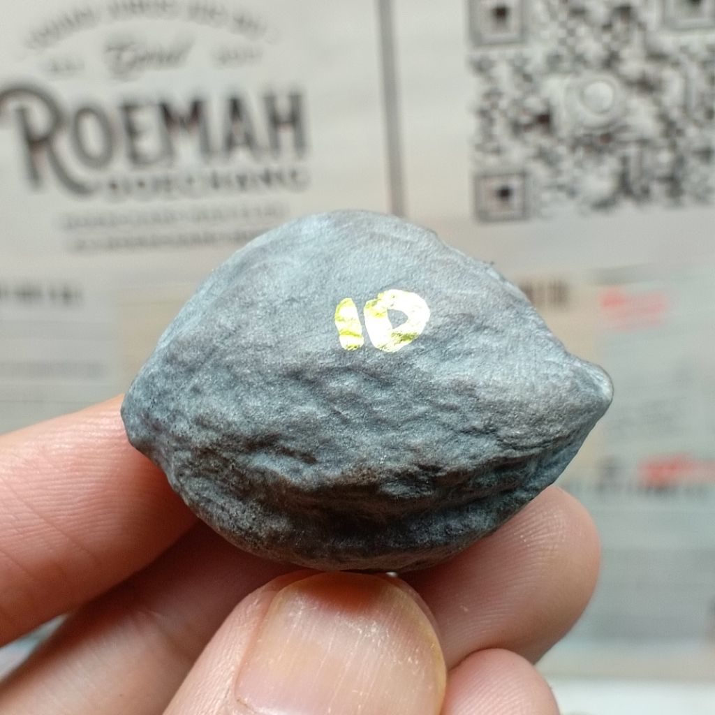 Muncang Adu Mayit Domba JR kode 10