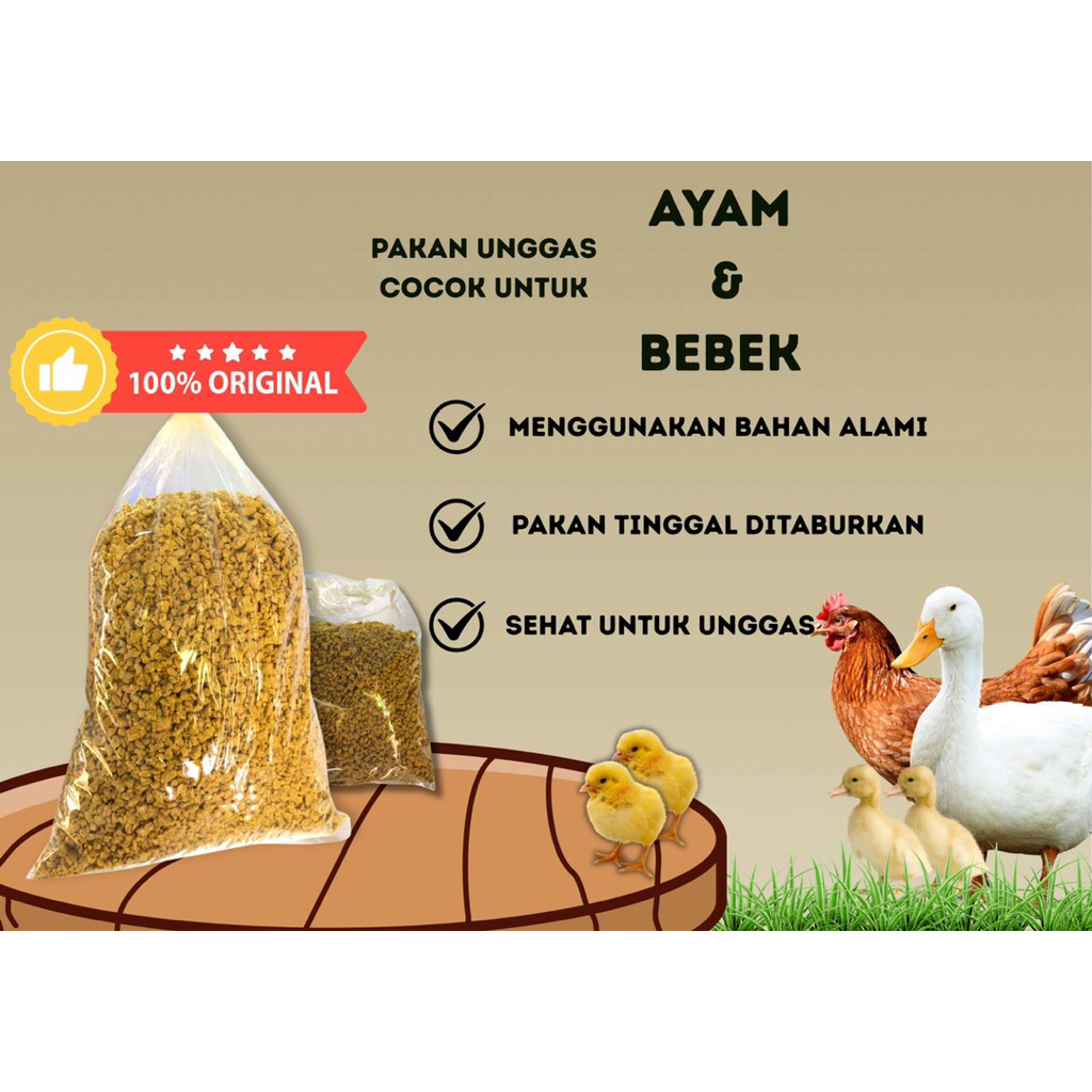 PAKAN AYAM/PUR DAGING AYAM 1/2 kg/pakan ayam dan bebek