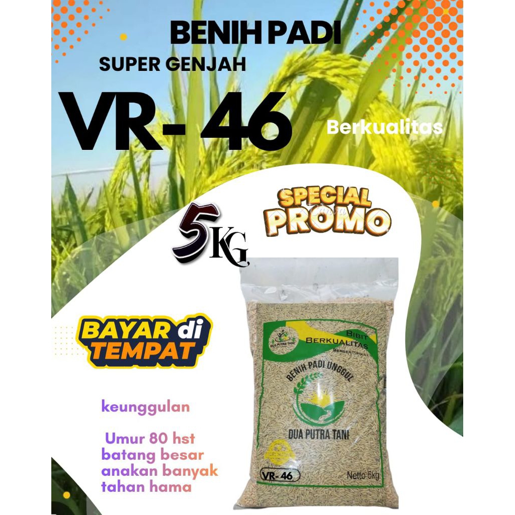 BENIH PADI VR46 ORIGINAL (VELOZE RICE46) KEMASAN 5KG