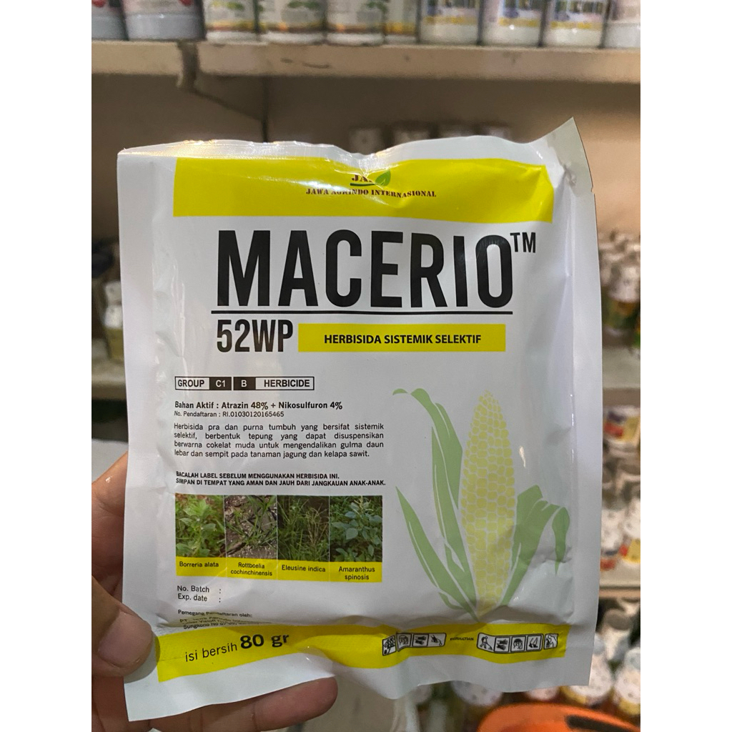 Herbisida Selektif MACERIO 52WP | Herbisida Selektif untuk tanaman jagung