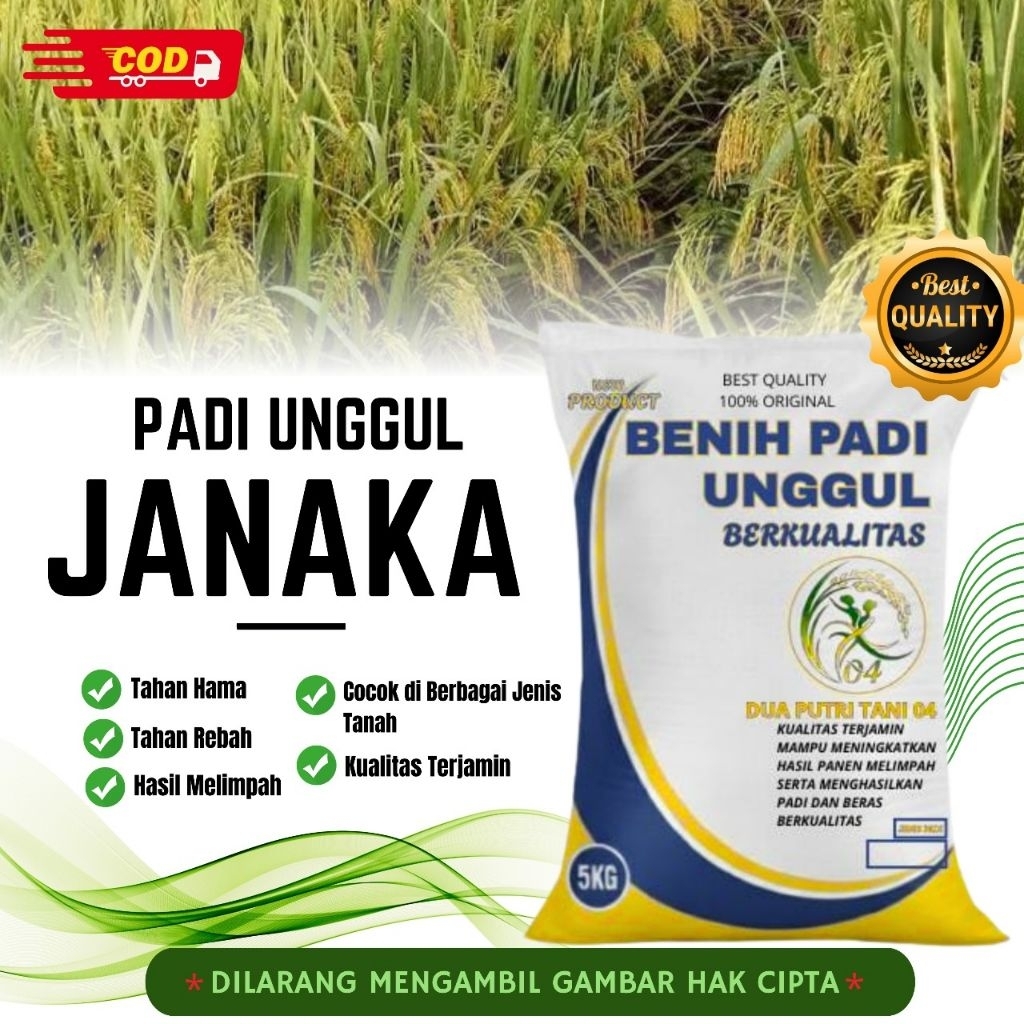 bibit PADI JANAKA BIBIT UNGGUL kemasan 5kg