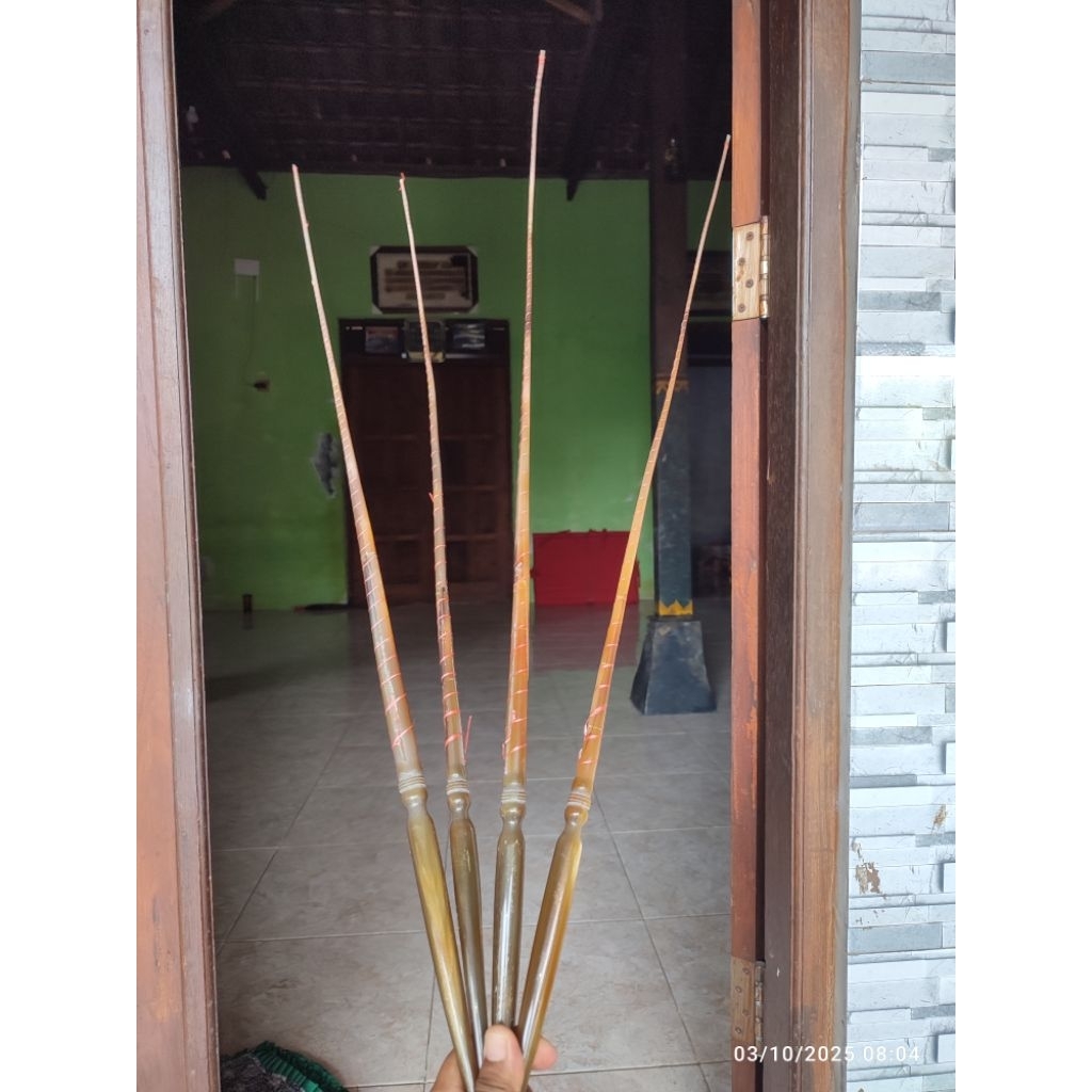 gapit bule kerbau katongan