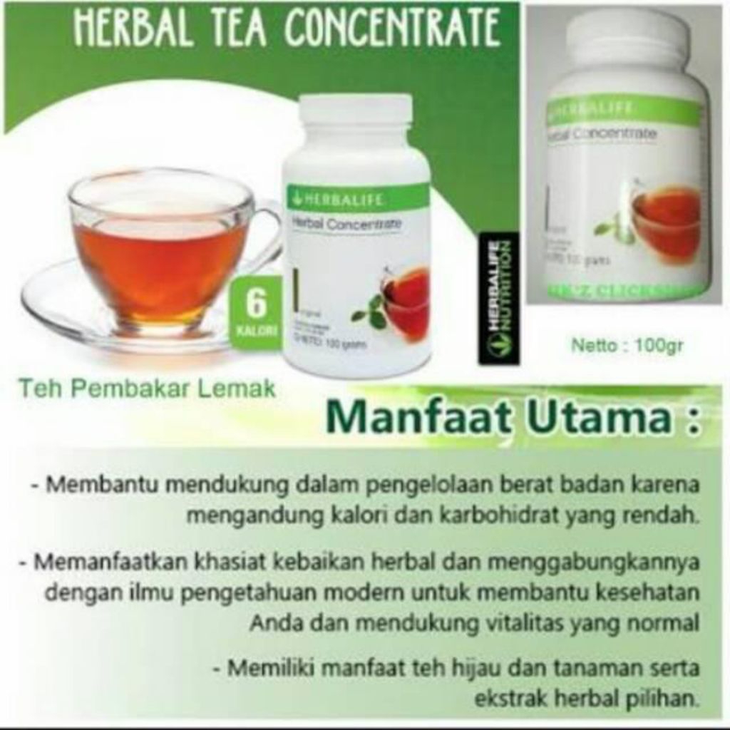 Herbalife Concentrate Teh Thermo Ginger Horney Bakar Lemak Cepat
