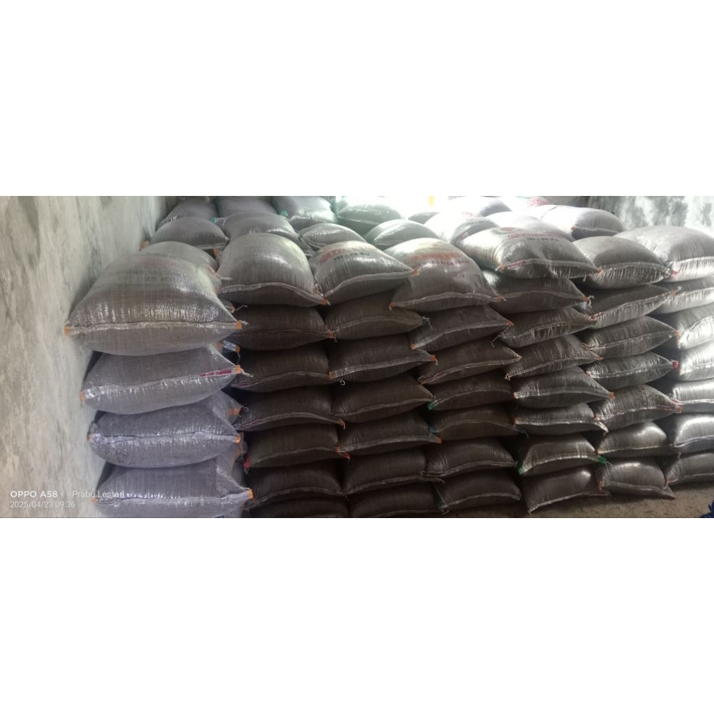 Kohe Kambing fermentasi