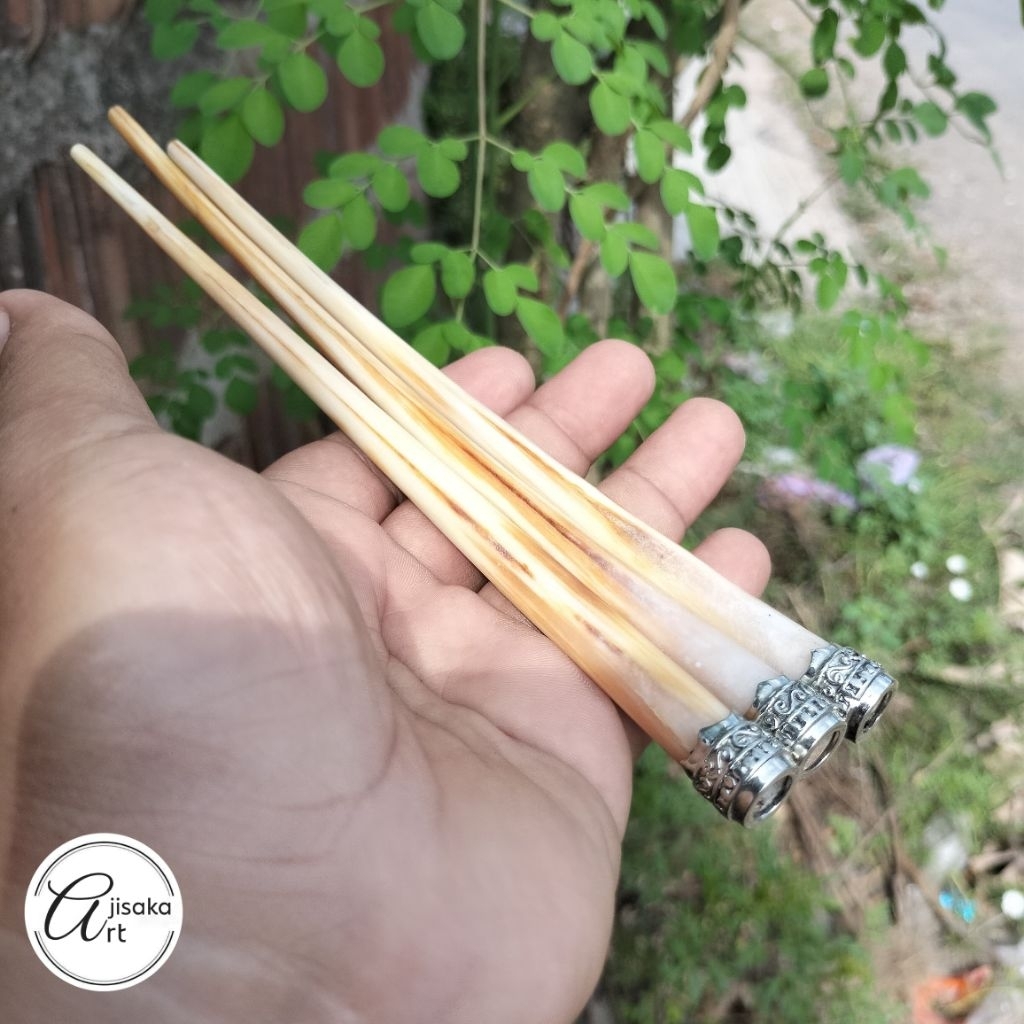 AJISAKA_ART | pipa once / once cangklong tulang rusuk marlin