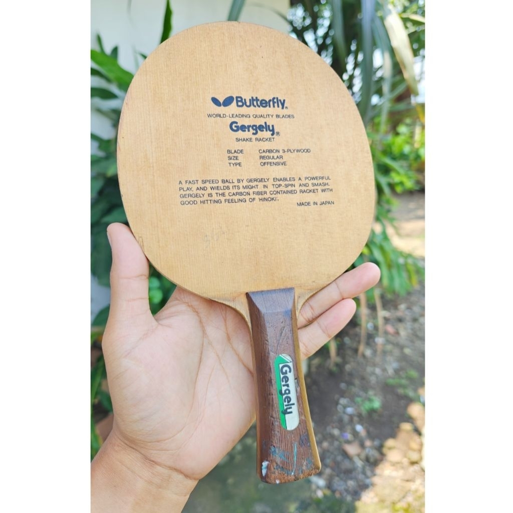 Butterfly Gergely Oldtag Lengsa Panjang