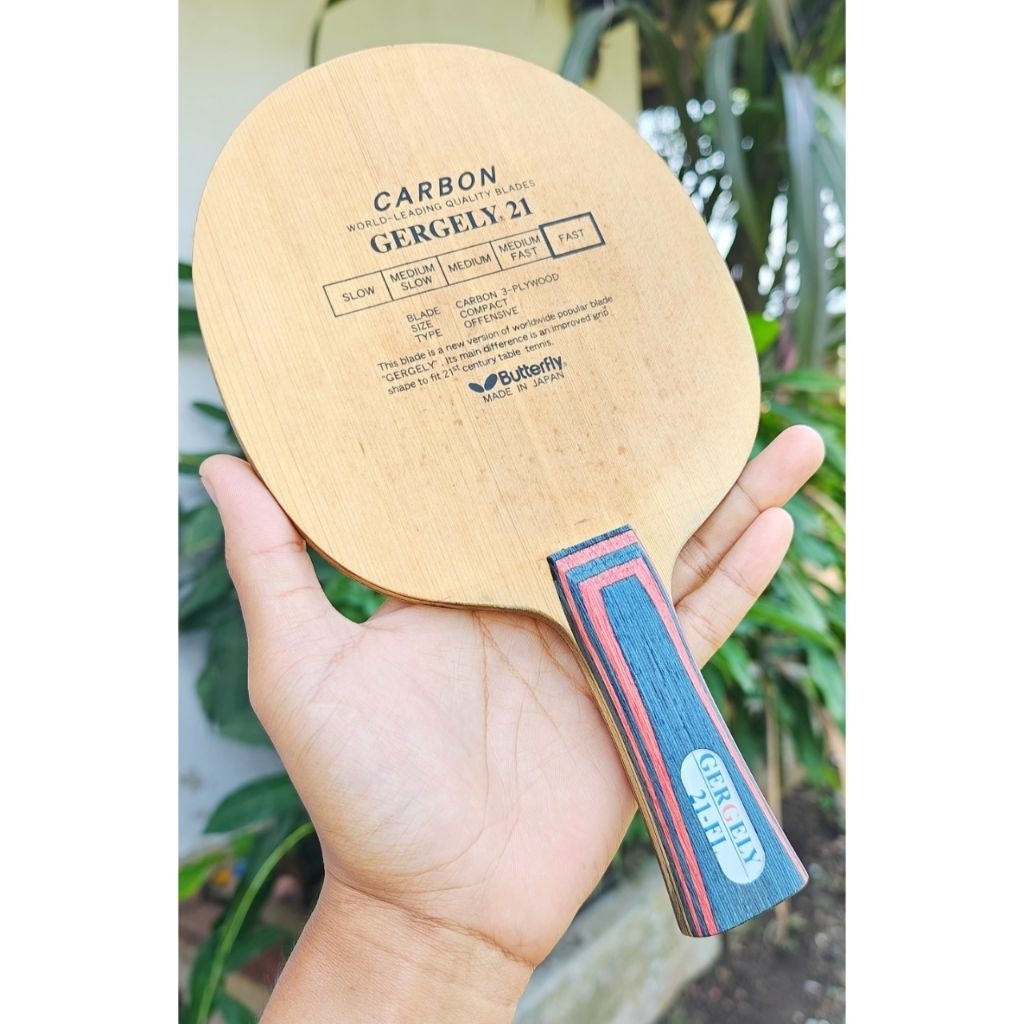 Butterfly Gergely 21 Oldtag