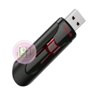 FlashDisk Sandisk 16 Gb 16g