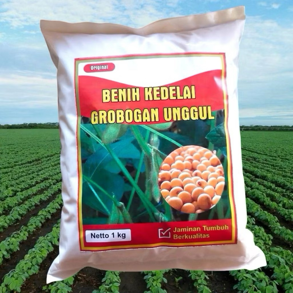BENIH KEDELAI GROBOGAN UNGGUL (1kg)