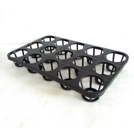 Tray semai anggrek remaja