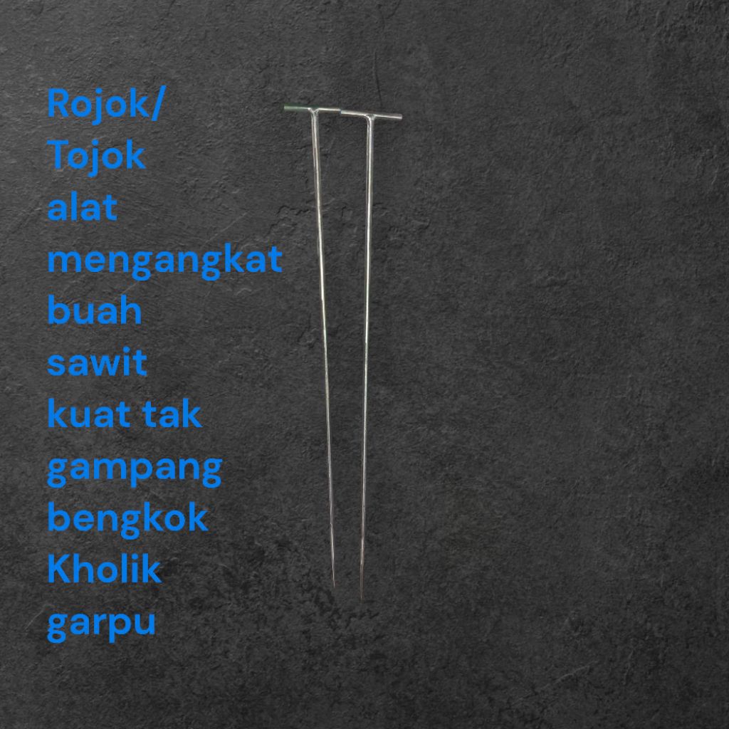 Rojok/Tojok full baja