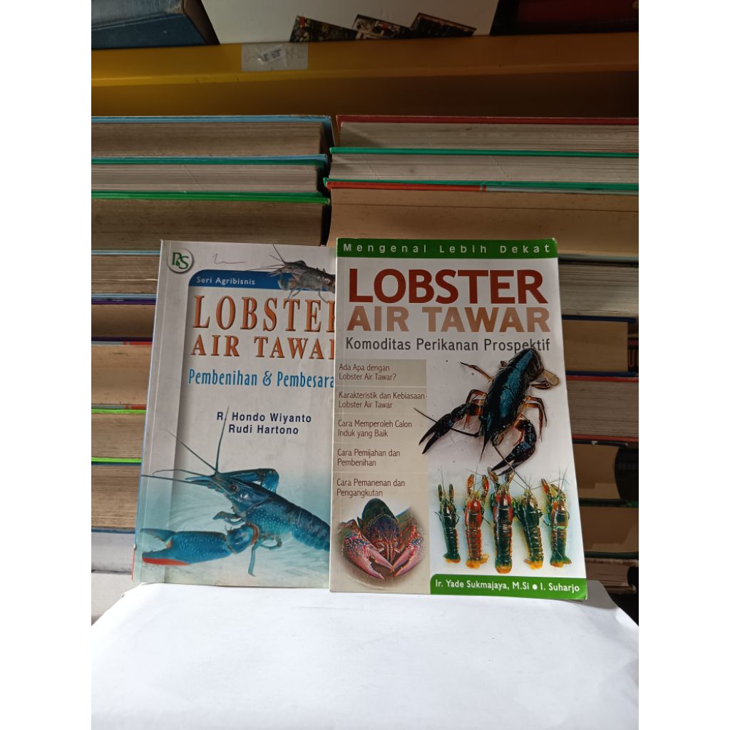 PAKET 2 BUKU - LOBSTER AIR TAWAR