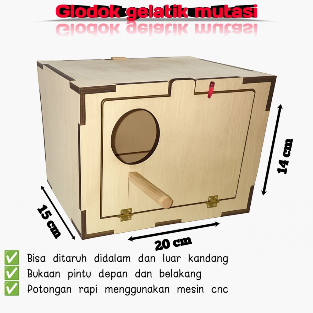 Glodok burung parkit gelatik jawa glatik belong mutasi love bird lobet bisa costum nama