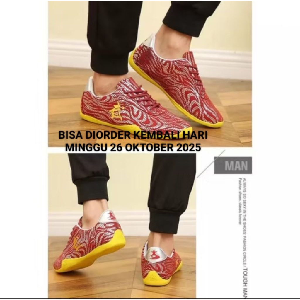 TERLARIS Sepatu Wushu Budosaga / sepatu wu shu / sepatu tai chi / sepatu olahraga