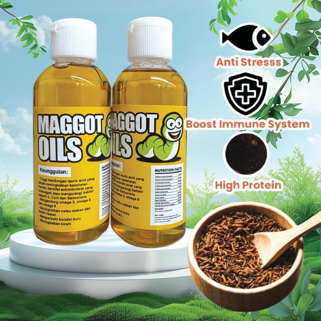 Minyak BSF Maggot Oil FLIPTOP - PREMIUM Crude Oil BSF Arwana, Channa, Koi, Murai, Ayam, Louhan, Love