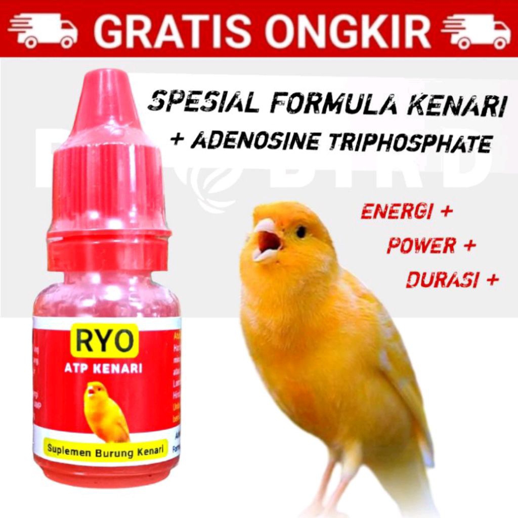 RYO ATP KENARI Suplemen ATP Vitamin Burung Kenari Finch Sanger Blacktroath Vitamin Penggacor Burung 