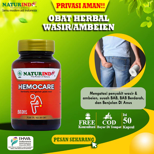 Obat Wasir Stadium 4 Ambeien Paling Ampuh Herbal Hemocare Naturindo
