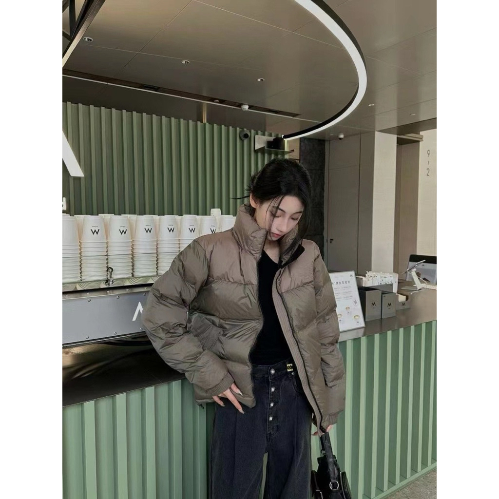 Puffer Jacket TNF Gore-Tex Nuptse