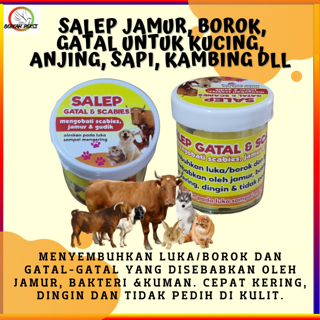 SALEP KUCING ANJING KELINCI SAPI KAMBING OBATI BOROK LUKA JAMUR LUKA BASAH LUKA CAKAR GIGITAN ROBEK