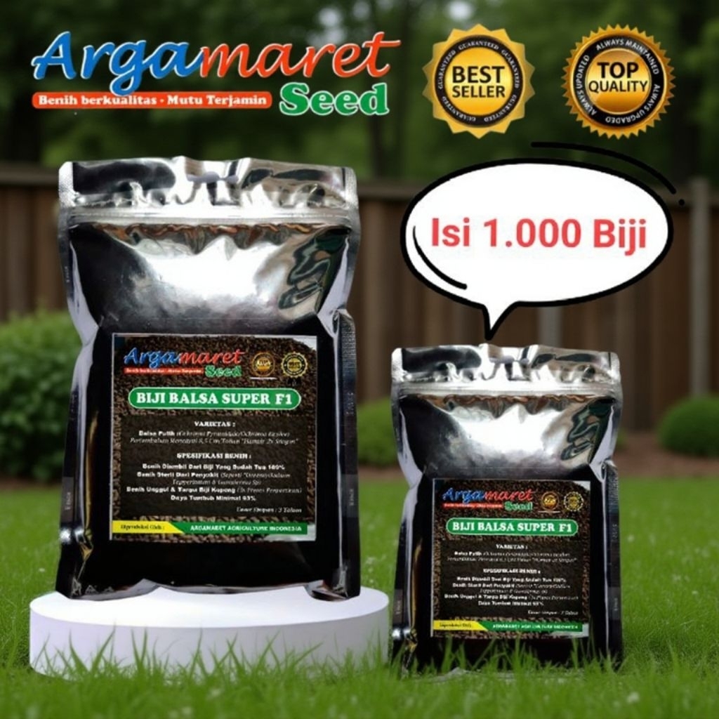 1.000 Bibit Balsa Super F1 - Biji Kayu Balsa Ochroma Pyramidale - Benih Pohon Balsa Unggul