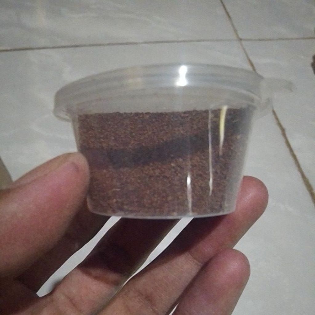 COD bibit bakau kering