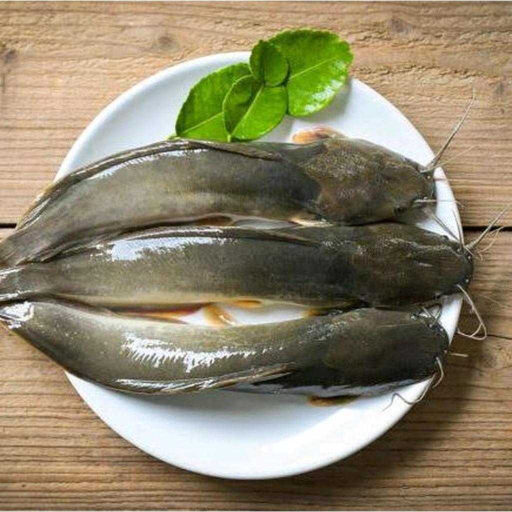 Ikan Lele Frozen @1kg - Ikan lele frozen