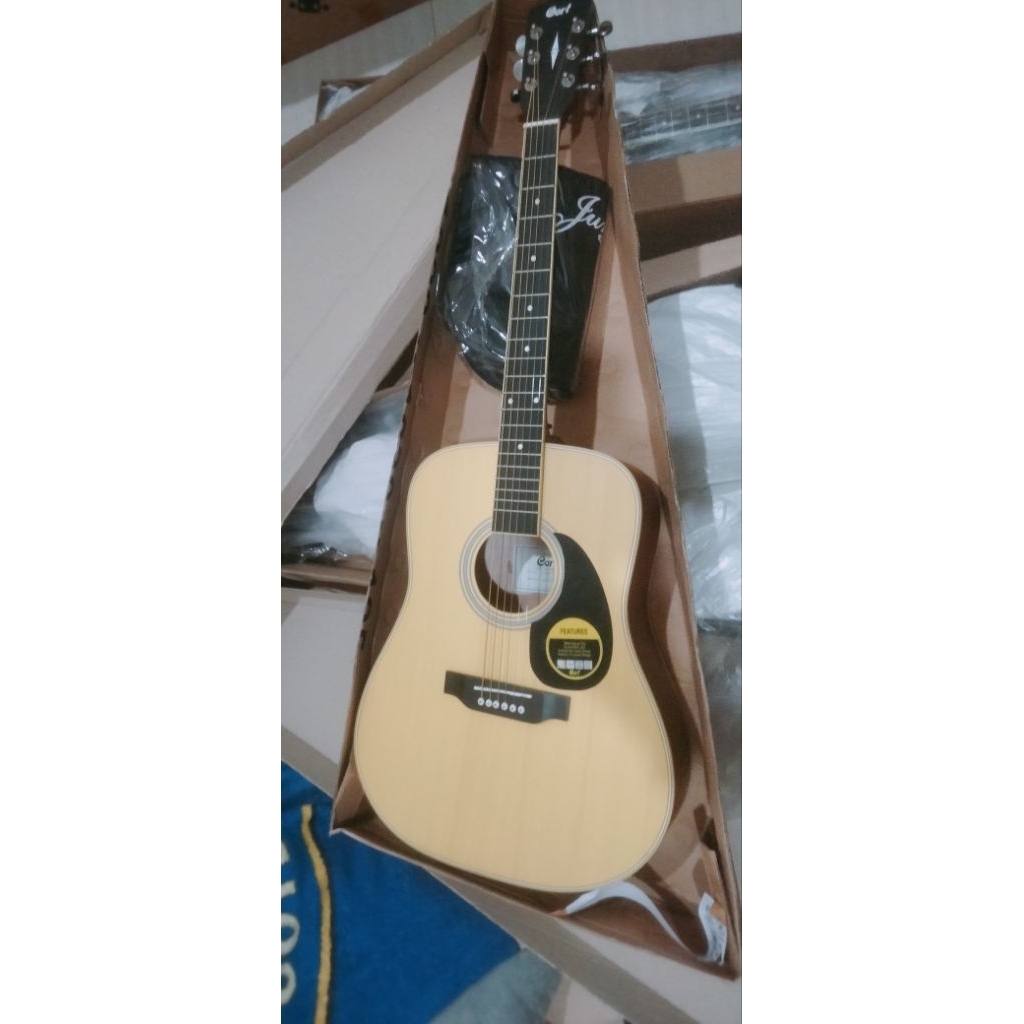gitar cort custom