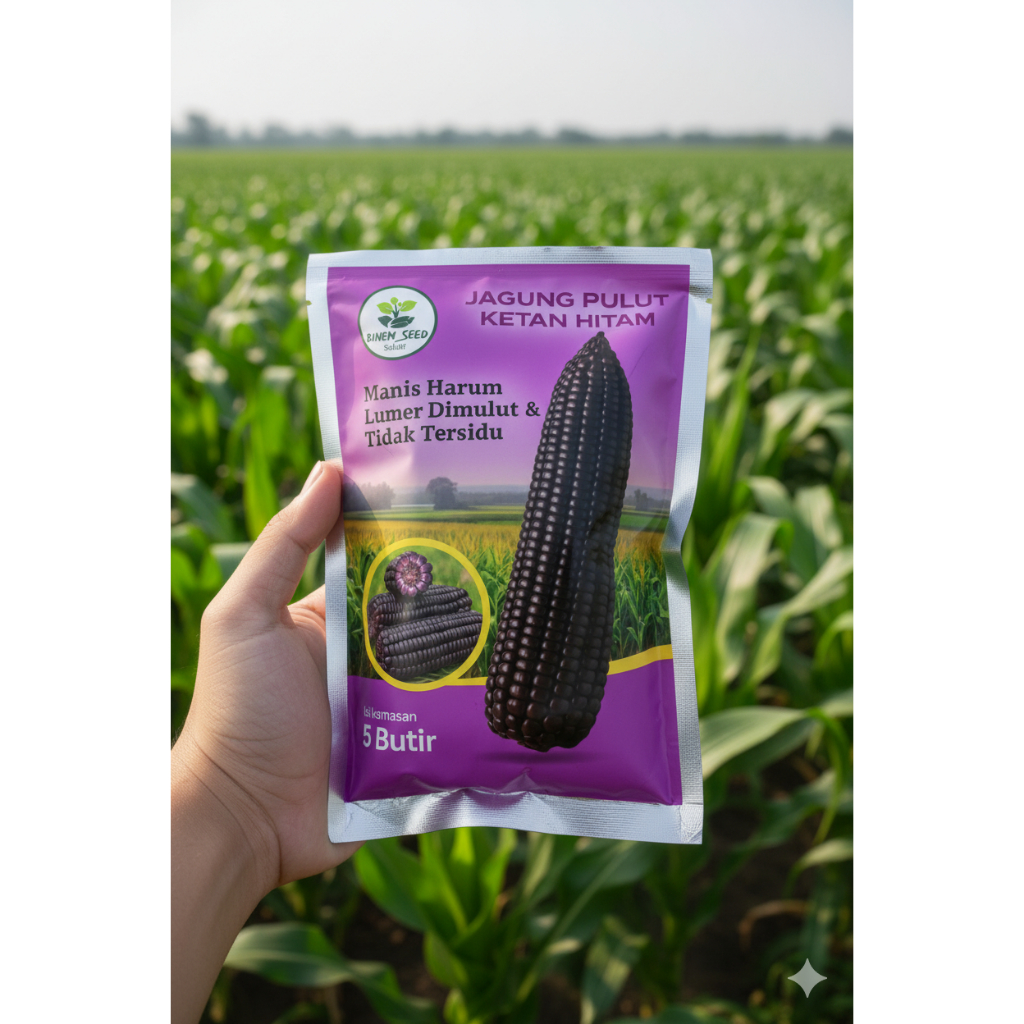 Benih jagung pulut hitam