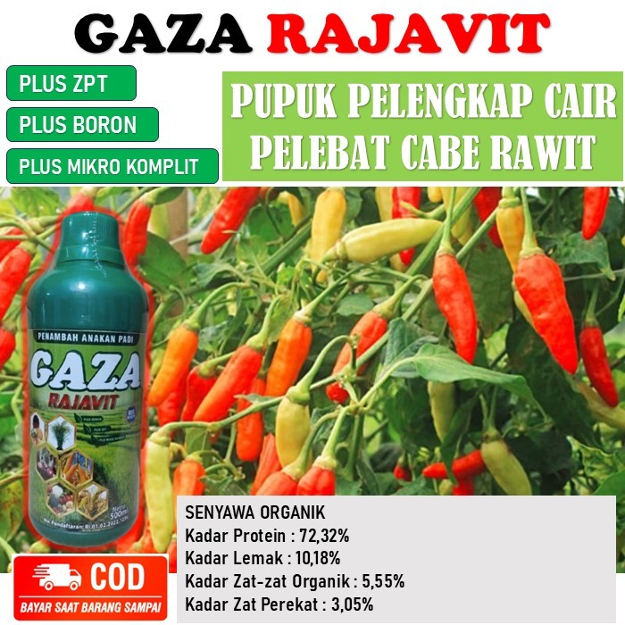 Gaza Rajavit 500 ML pupuk pelebat cabe rawit - pupuk pelengkap cair organik melebatkan cabe rawit - 