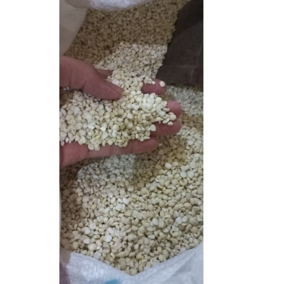 Berley seeds 1kg/jali jali 1kg/hanjeli 1kg