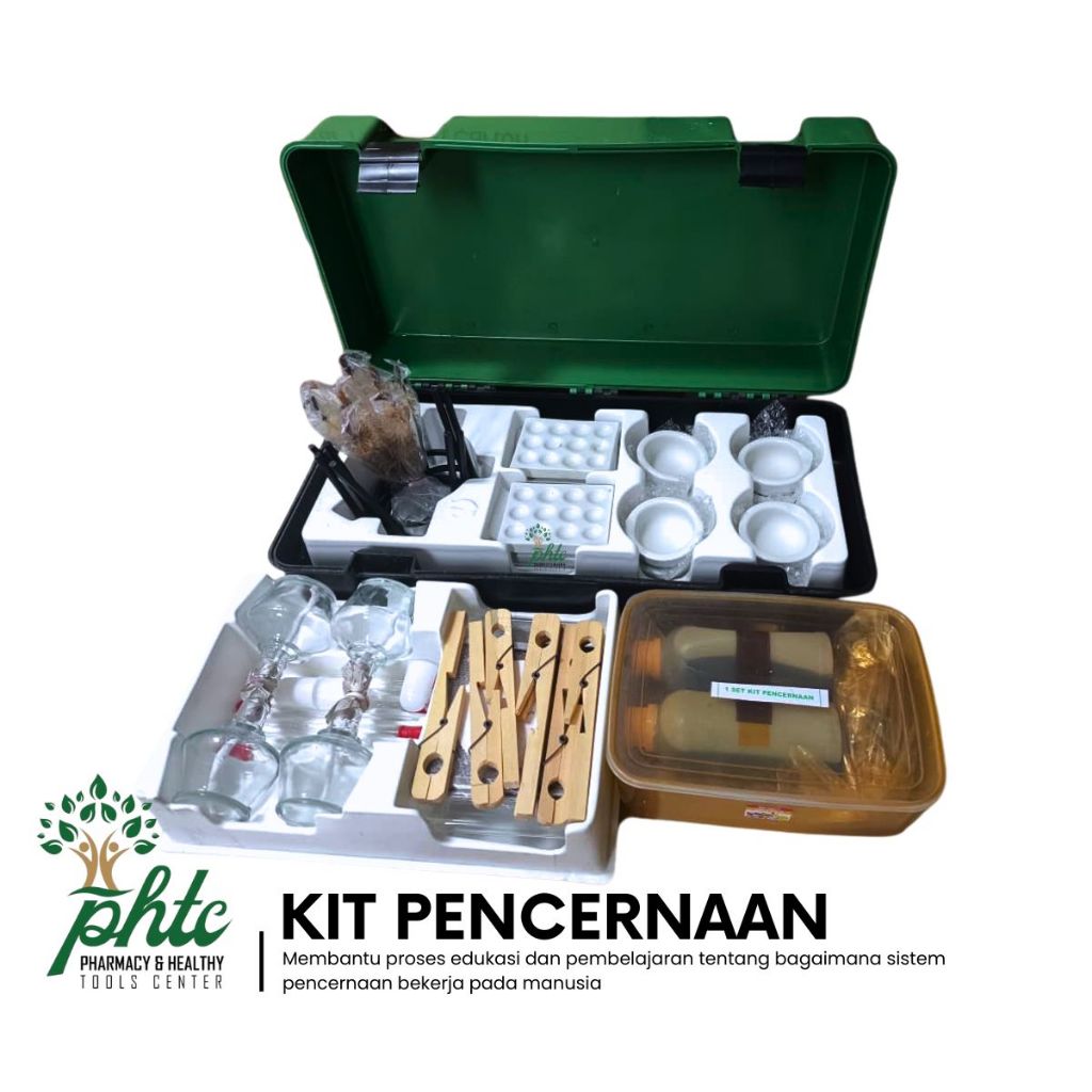 PHTC Kit Pencernaan / Alat Peraga Laboratorium Pencernaan Komplit