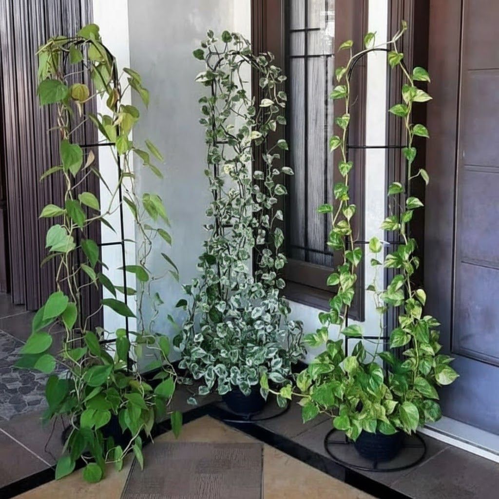 STANDING RAK BESI RAMBAT/RAK TANAMAN RAMBAT/RAK BUNGA RAMBAT / TERMURAH / FLASH SALE / TERLARIS