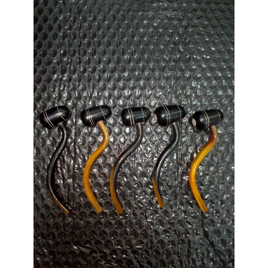 PIPA ONCE CANGKLONG POPEYE TANDUK SAPI