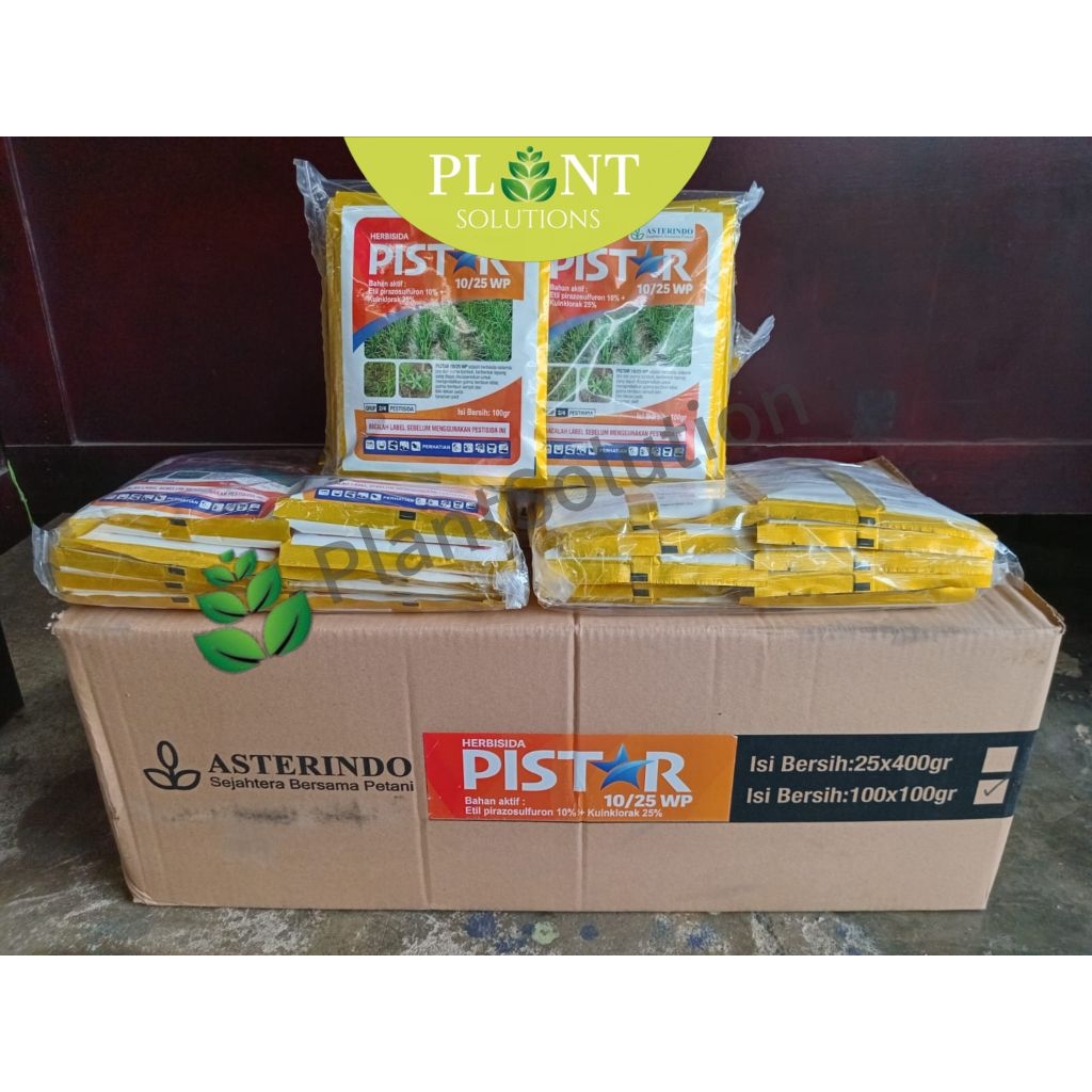 Herbisida Pistar 100GR Mengendalikan Gulma Pada Tanaman Padi