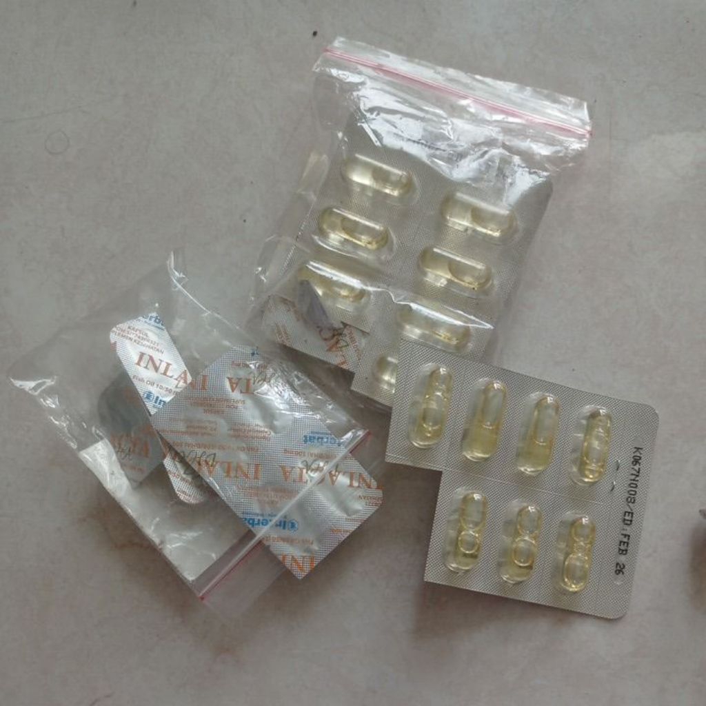 inlacta dha Ibu hamil