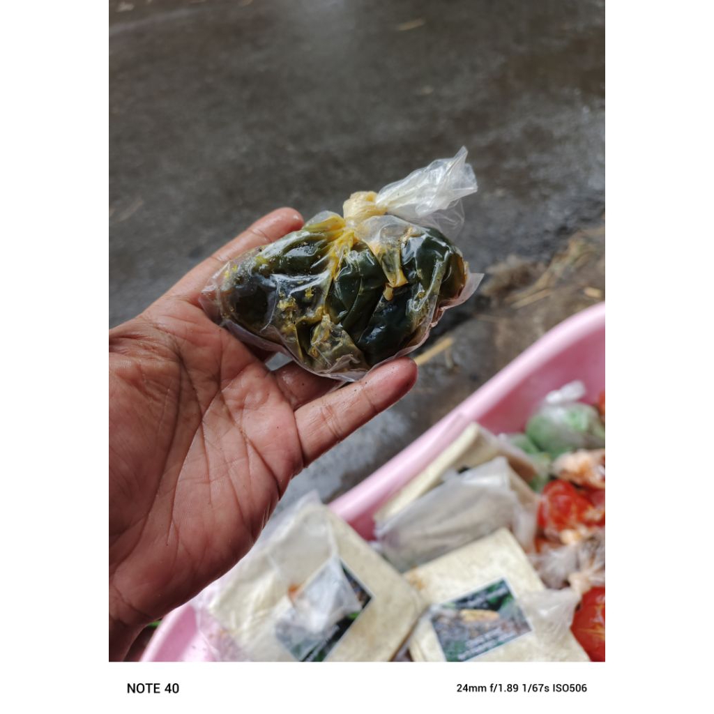 cendil hitam umpan galatam ikan lele dan harian bawal