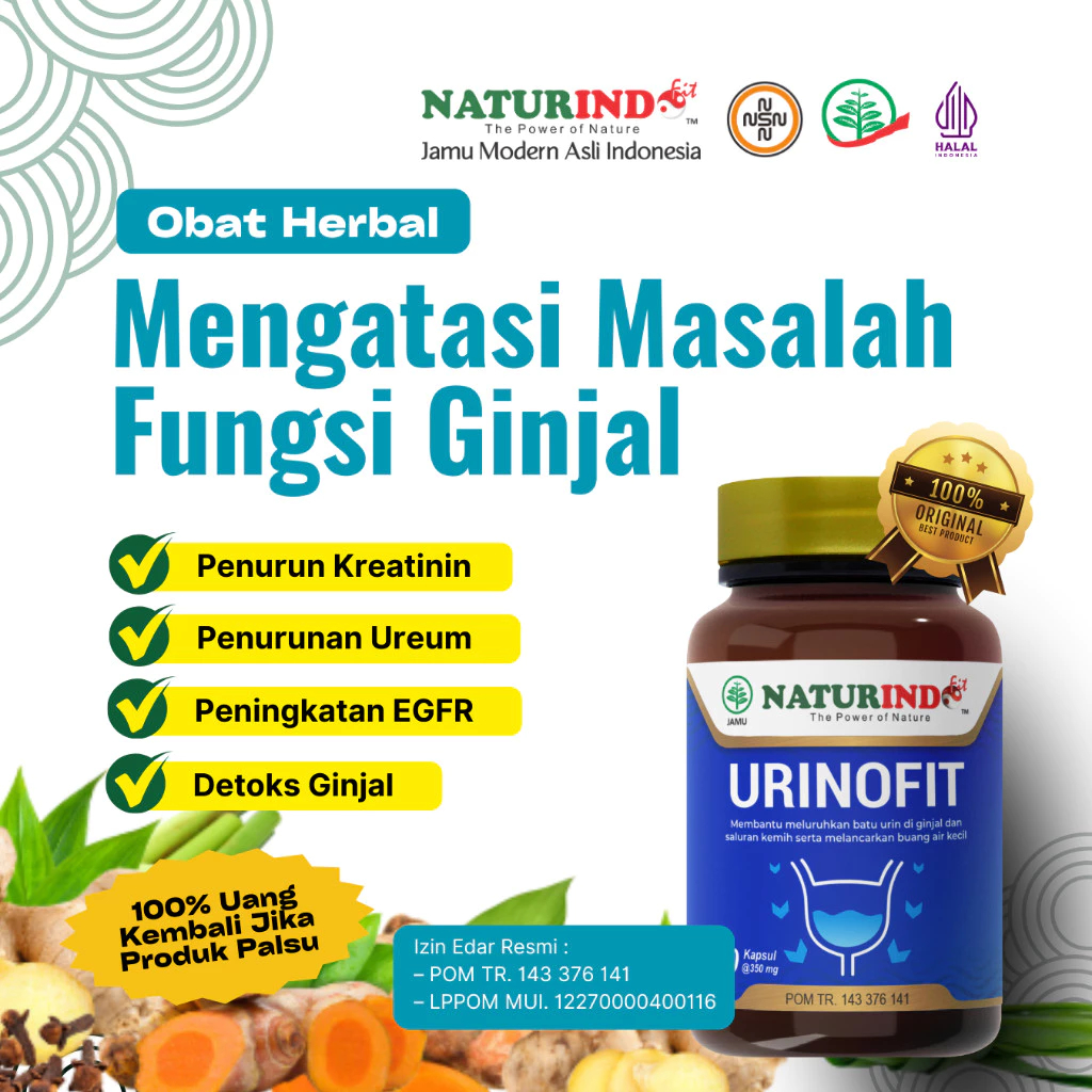 URINOFIT: Obat Batu Ginjal Kencing Batu Infeksi Saluran Kemih Herbal Ginjal Kencing Tidak Tuntas Oba