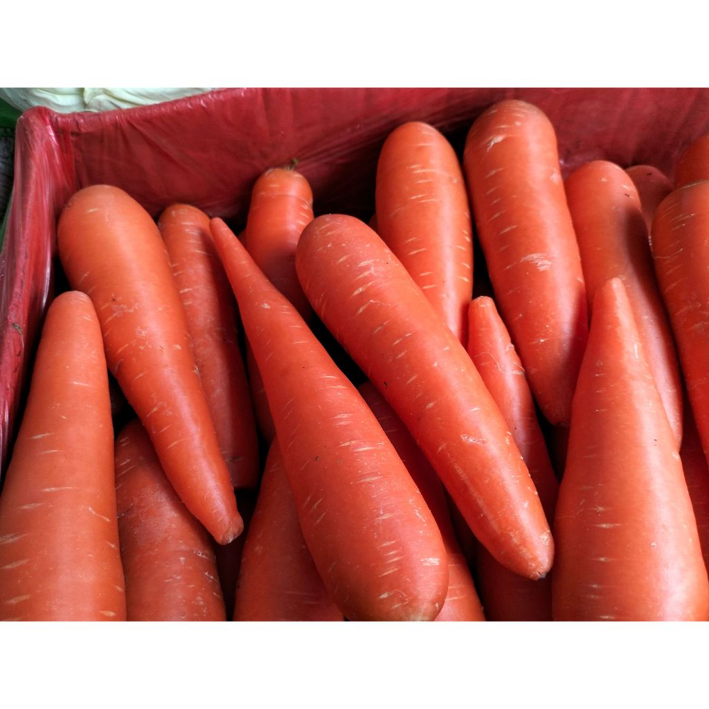 Wortel Sayur Wortel Segar