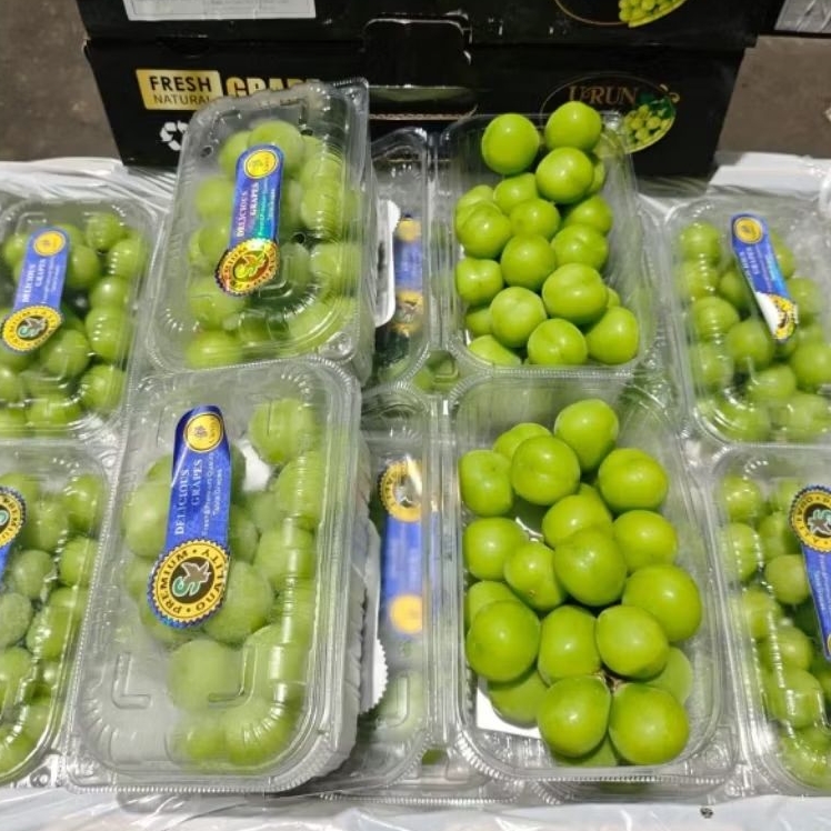 ANGGUR SHINE MUSCAT 1 DUS 10PACK