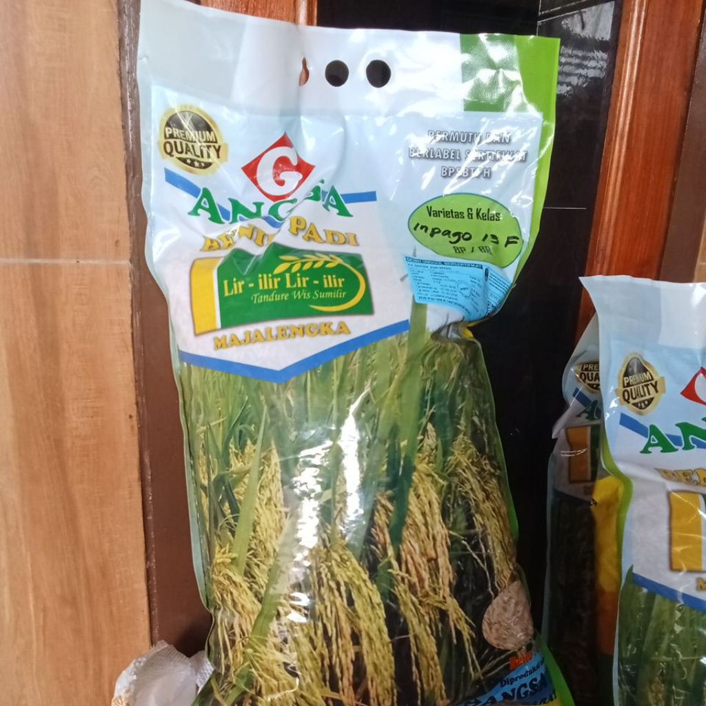 Benih padi inpago 13 Fortis
