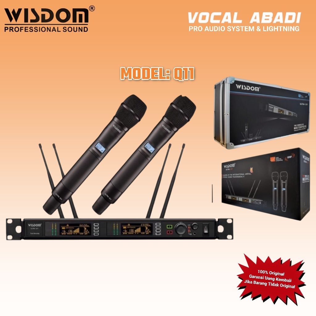MICROPHONE WIRELESS WISDOM Q11