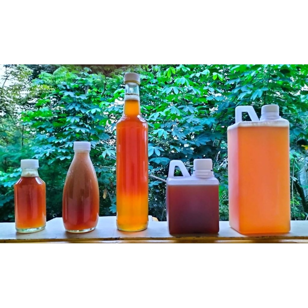 Madu Klanceng Murni-Maru Klanceng Asli Alam 100ml