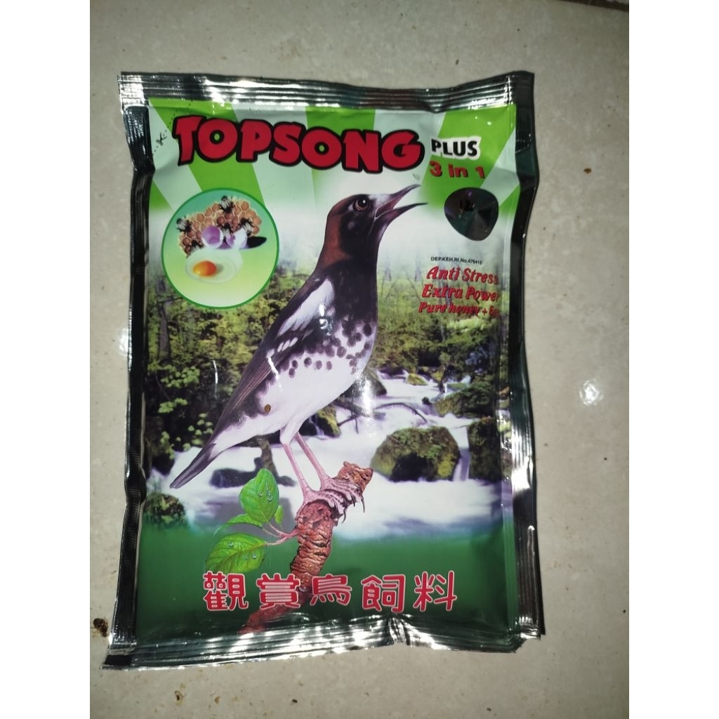 Topsong Vour Kuning Pakan Burung Murai